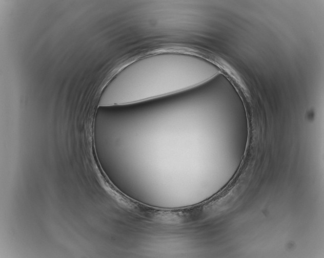 X0000091211049200708091111
