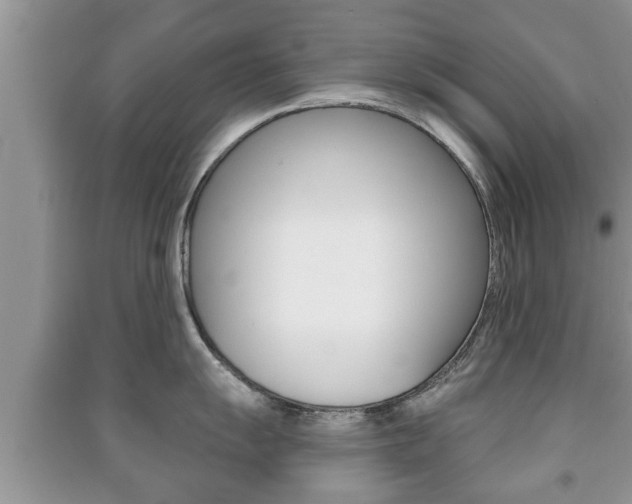 X0000091211055200708091111