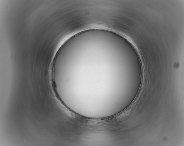 X0000091211056200708091111