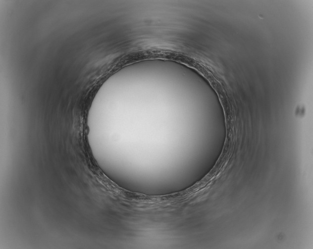 X0000091211061200708091111