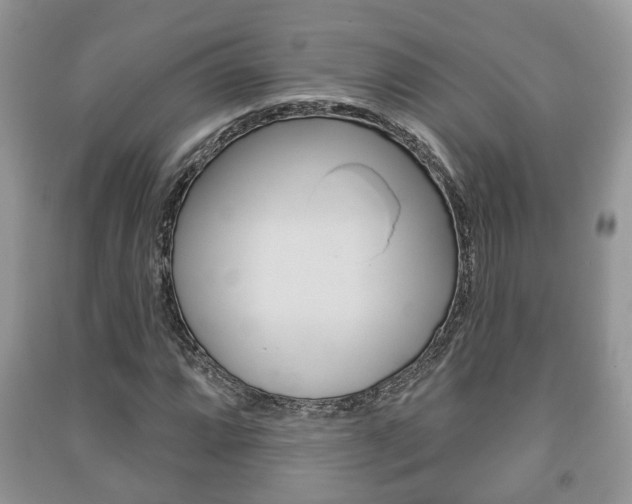 X0000091211064200708091110