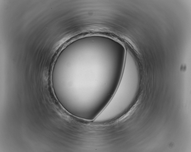 X0000091211065200708091110