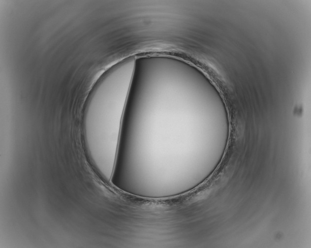 X0000091211073200708091110