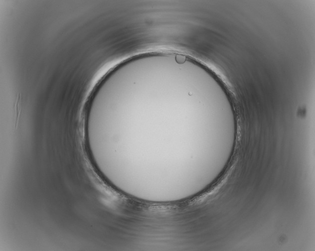 X0000091211078200708091110