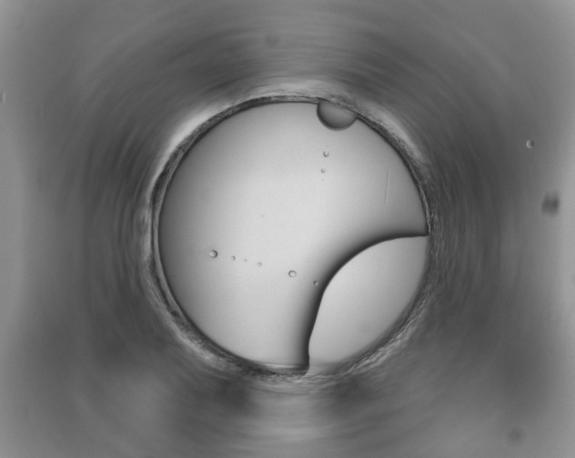 X0000091211079200708091110