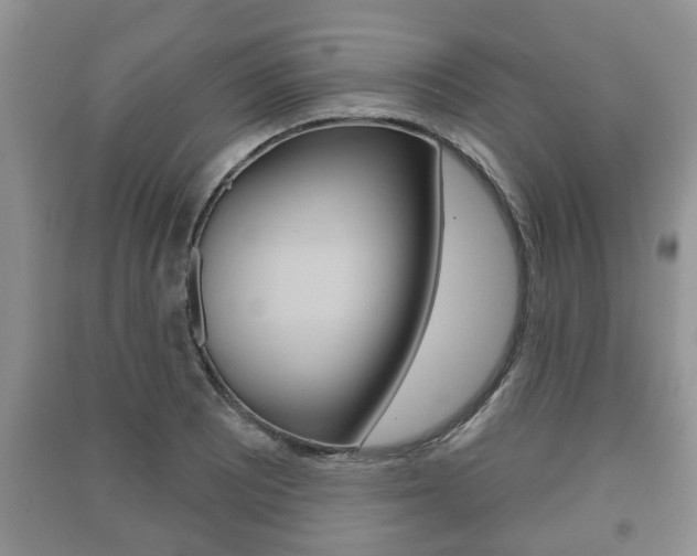 X0000091211081200708091110