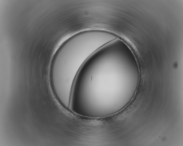 X0000091211085200708091110