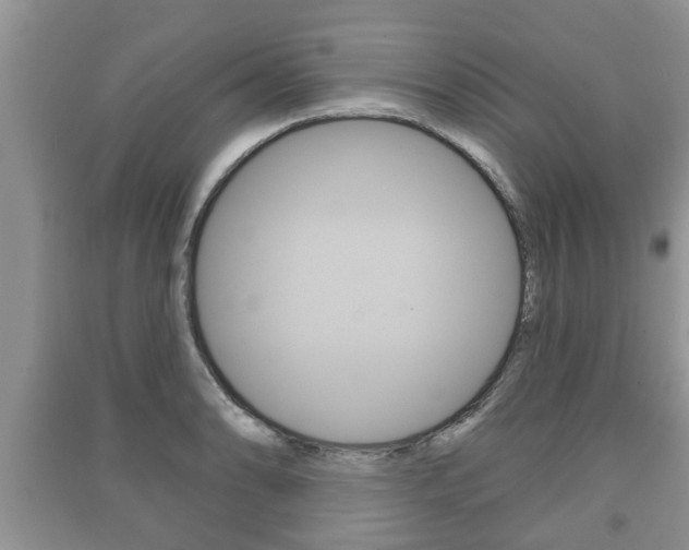X0000091211086200708091110