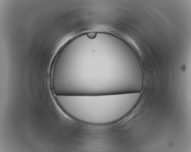 X0000091211087200708091110