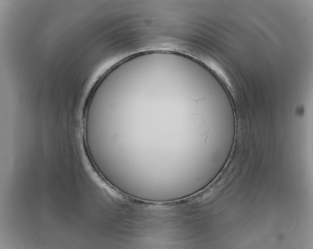 X0000091211088200708091110