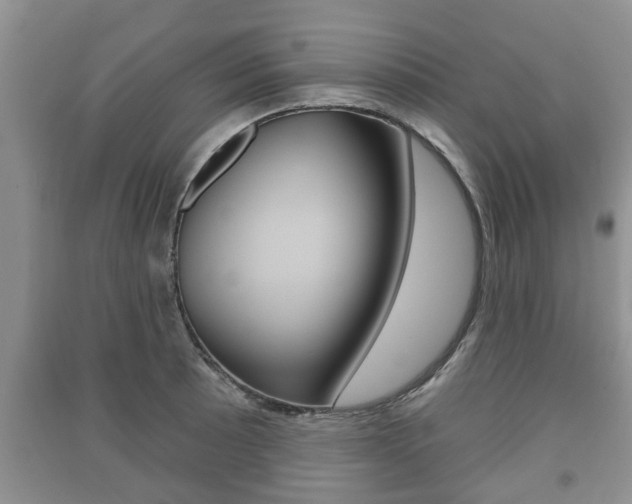 X0000091211089200708091110