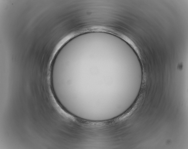 X0000091211090200708091110