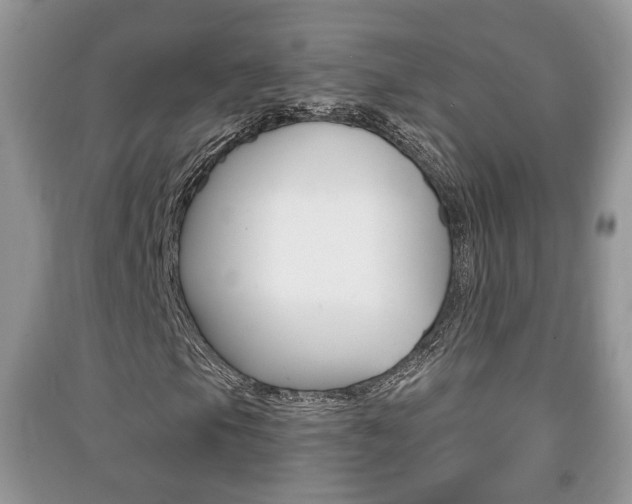 X0000091211105200708091109