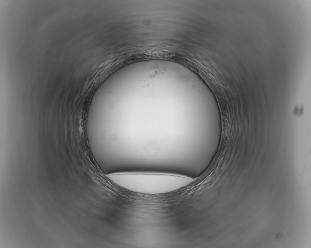 X0000091211106200708091109