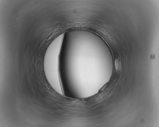 X0000091211107200708091109