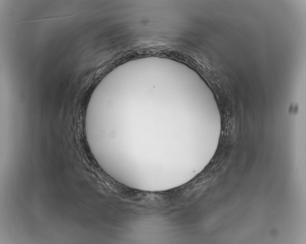X0000091211109200708091109