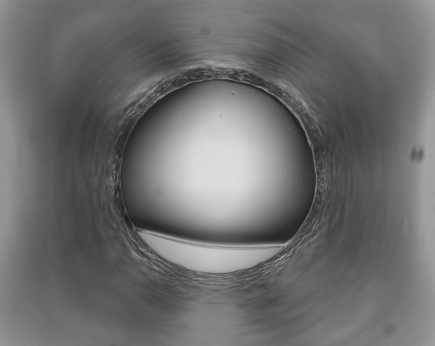 X0000091211110200708091109