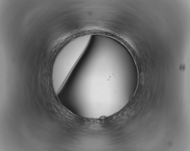 X0000091211111200708091109