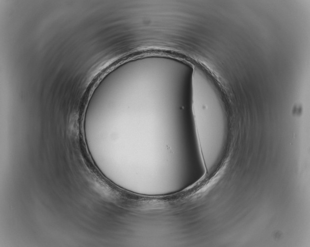 X0000091211113200708091109