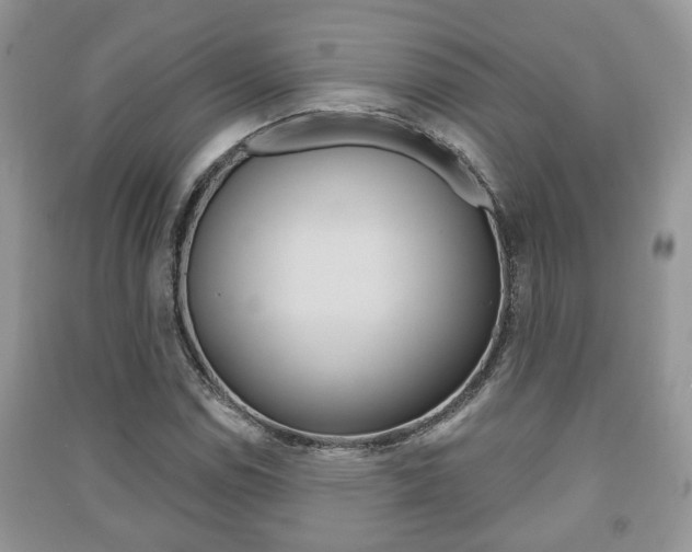 X0000091211114200708091109