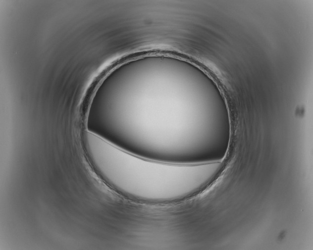 X0000091211118200708091110