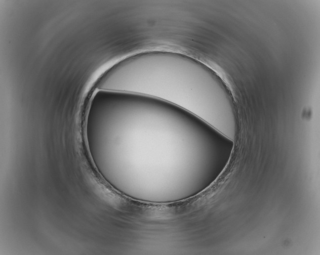X0000091211120200708091110