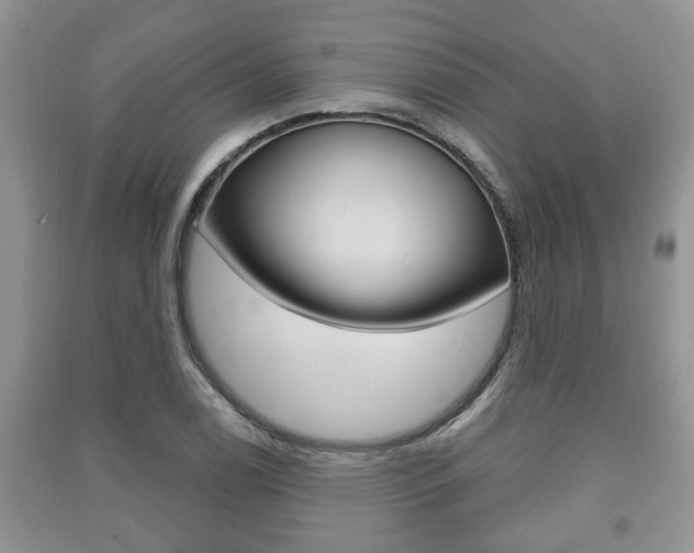 X0000091211122200708091110