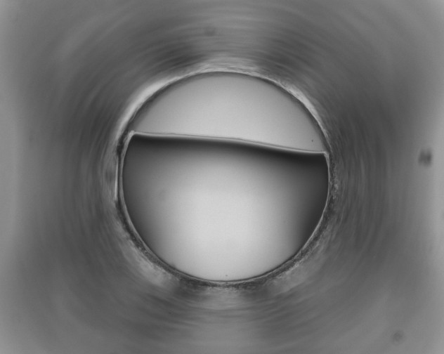 X0000091211123200708091110