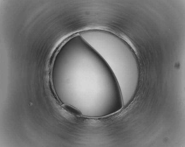 X0000091211124200708091110