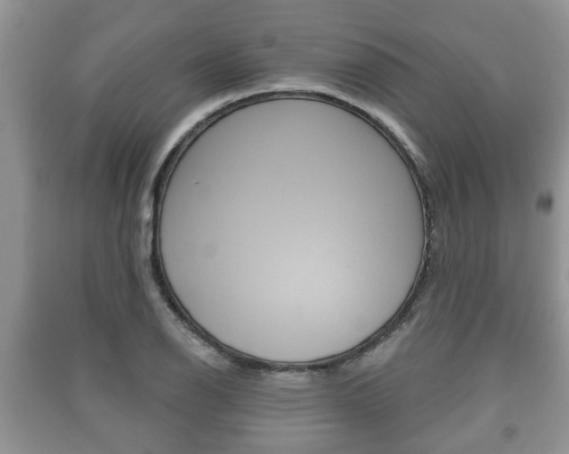 X0000091211126200708091110