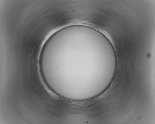 X0000091211128200708091110