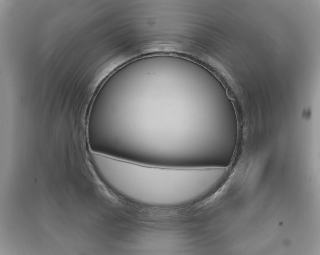 X0000091211129200708091110