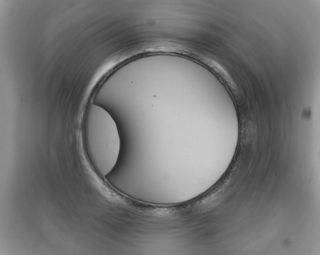 X0000091211130200708091110
