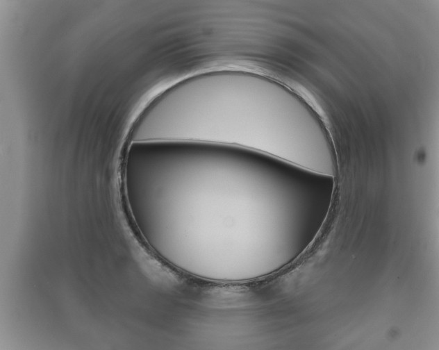 X0000091211133200708091110