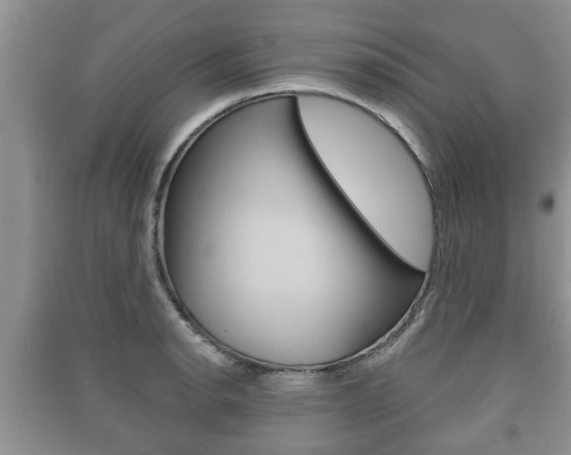X0000091211134200708091110