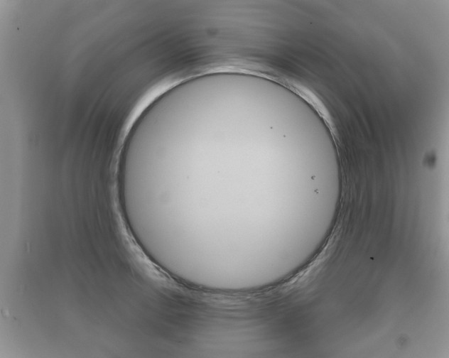 X0000091211138200708091110