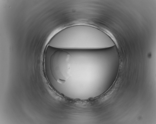 X0000091211146200708091110