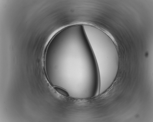 X0000091211148200708091110