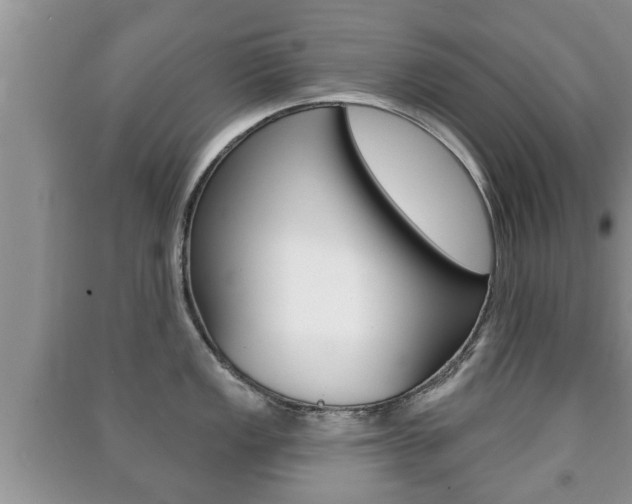 X0000091211149200708091110