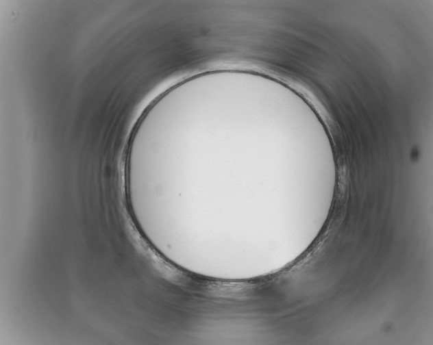 X0000091211150200708091110