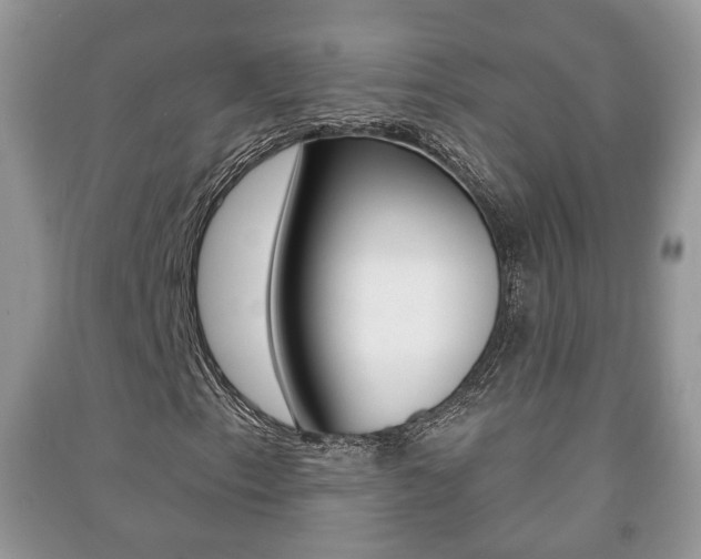 X0000091211153200708091109