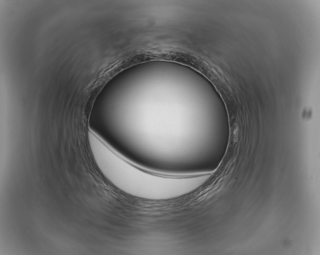 X0000091211156200708091109
