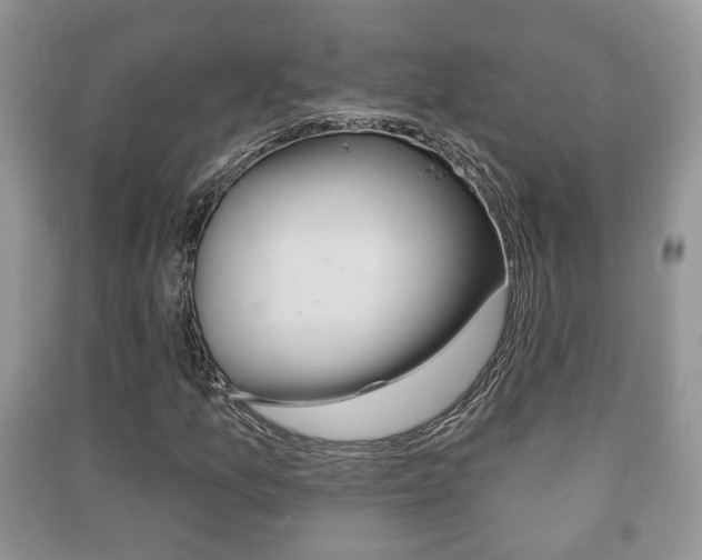 X0000091211157200708091109