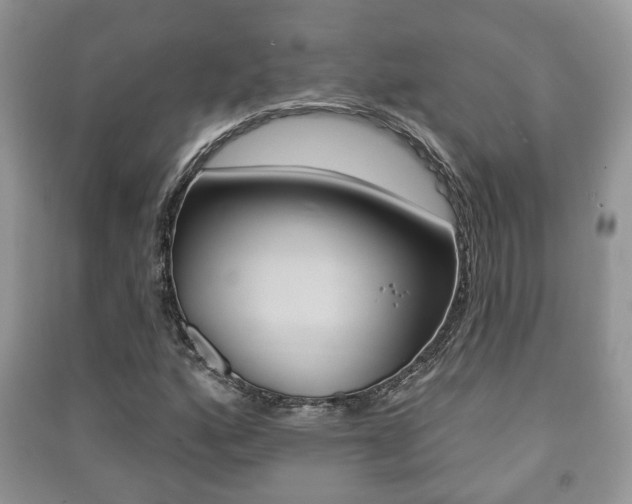 X0000091211160200708091109