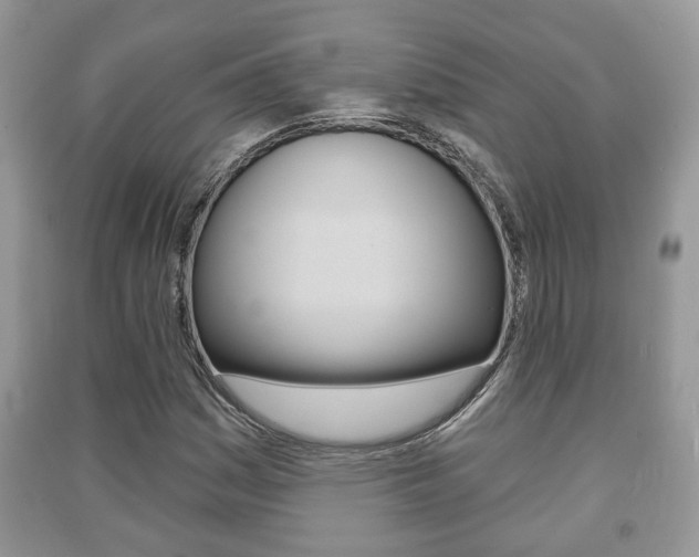 X0000091211161200708091109