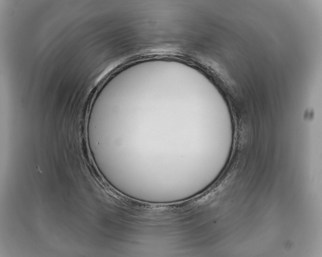 X0000091211162200708091109