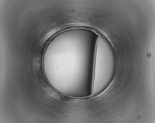 X0000091211163200708091109