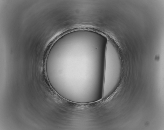 X0000091211165200708091109