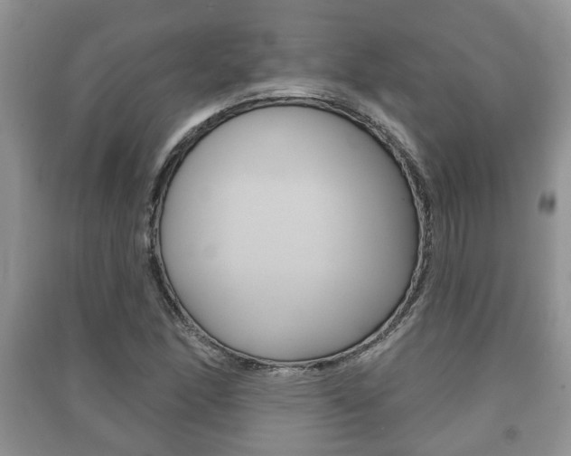 X0000091211166200708091109