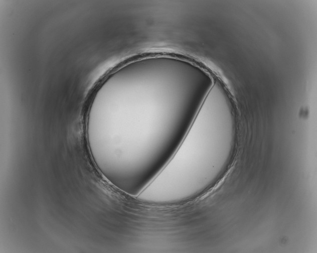 X0000091211167200708091109